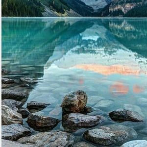 Meet your Posher, Marley